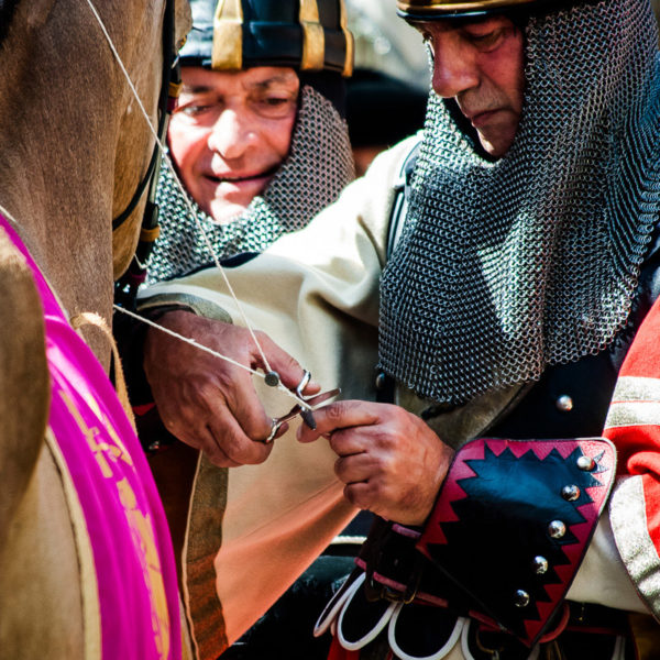 La bollatura dei cavalli (Arezzo 2009)