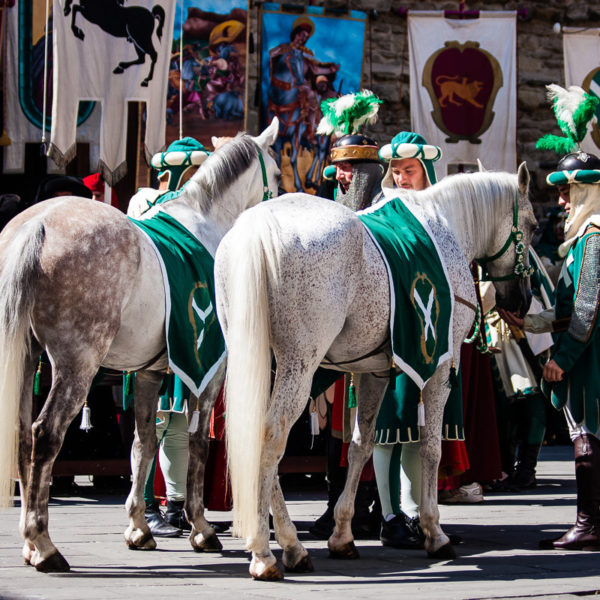 La bollatura dei cavalli (Arezzo 2009)