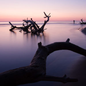 Un fotografo approfitta della luce del tramonto a Marina di Alberese, nel Parco Naturale dell'Uccellina (Grosseto 2008)