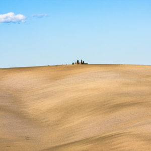 Un tipico paesaggio delle crete senesi (Pienza, Italia 2008)