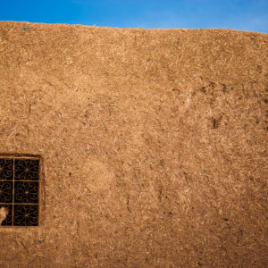 Un gatto si riposa alla finestra di una tipica casa fatta di fango e paglia nella Valle delle Rose (Marocco, 2010)